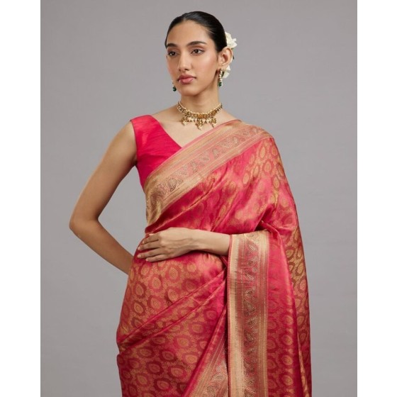 Women Embellished Net Saree